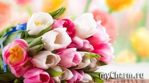 Скажу по секрету…