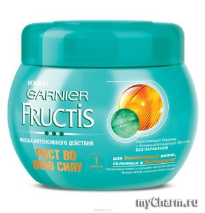 GARNIER /    Fructis       