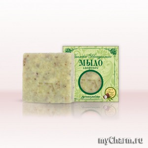 "�������� �����" / ���� ��� ���� � ���� �������� ����������� ���� "��������"