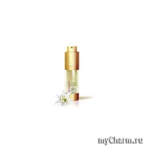 AdvancedLine / -   Advanced Skin