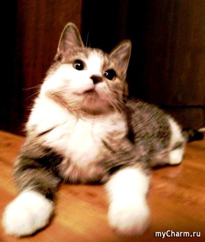  ?  - &quot;, ...   ,   &quot;!