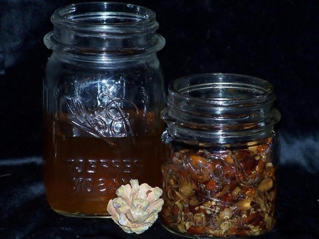 Кедровые орехи настойка на водке от женских болезней