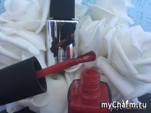      top coat solargel  SolarGel Polish