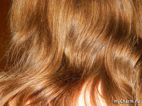 Шампунь на плаценте при выраженном выпадение волос