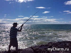 Coromandel -  .  2.          .