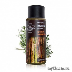 "Первая Монастырская Здравница" / Мужской шампунь "Сила Духа"