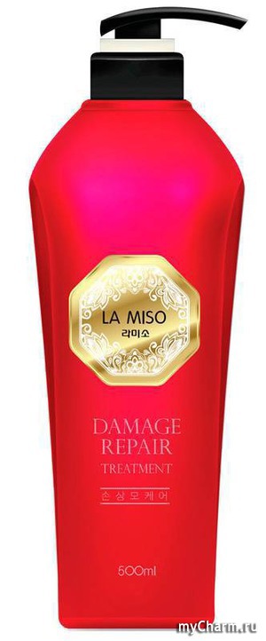 La Miso /  Damage Repair Treatment