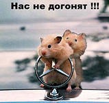 ������� ��������. ��������� 56 ������� zolotaia