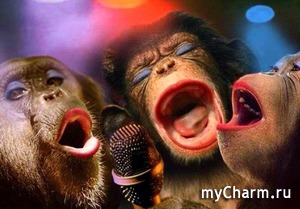  -  ,   - 17  zolotaia