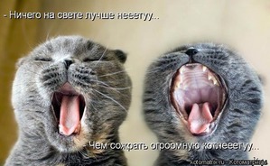 ������� ��������. ��������� 91. ������� zolotaia