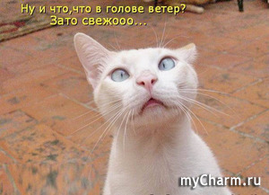 �������� �������2