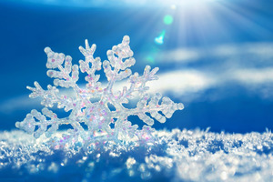 Конкурс " Уход за кожей в зимнее время". Уход за кожей тела.