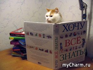 ����� �� �����?