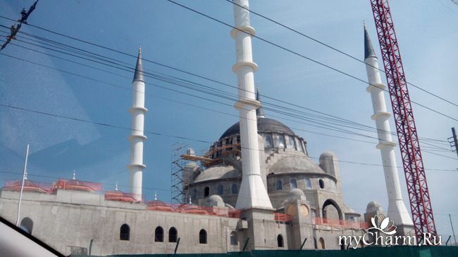 фотография 2: Пикничок фото 2: Пикничок