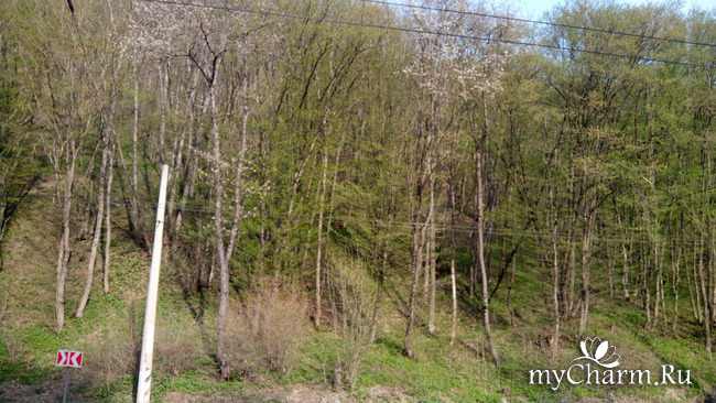 ���� 4: ��������