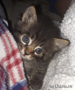 Ох не легкая это работа...