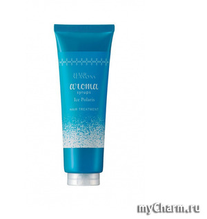Demi /    Hair Seasons Aroma Syrups Ice Polaris Treatment