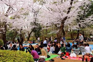 ����� ���� ��� �� �������� �����.