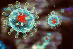 Ученые рассказали о главных распространителях коронавируса