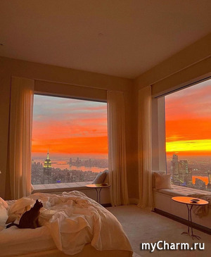 ������ ���������)