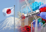 В Японии заявили о самоуничтожении коронавируса