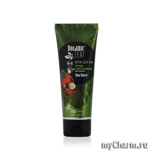 Botanic Leaf /       Shear butter