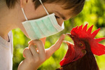 В России зафиксирован первый в мире случай заражения людей птичьим гриппом