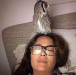 Сальма Хайек очень любит медитировать с живой совой на голове
