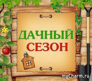 ������ �������. Alouisa.