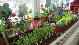 Alsunchik.  .   (10.05.-16.05.).