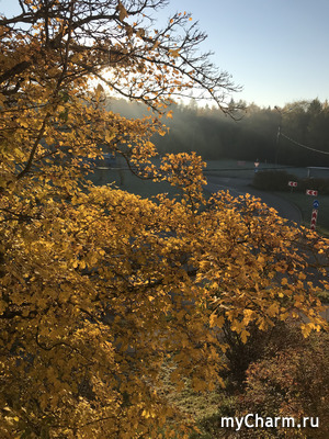 ��� �������� ����..