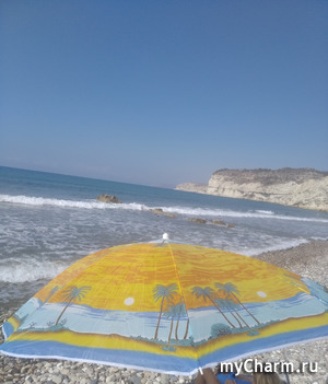 ������...