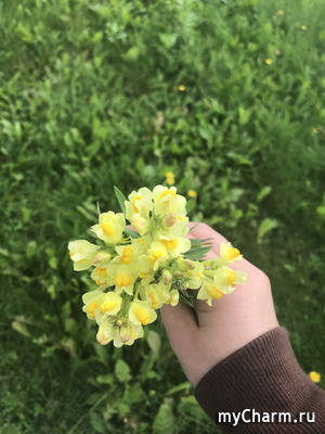 ������� ����� ���������, ��� ���� ����� ��� ����� ������� ���� ���������.