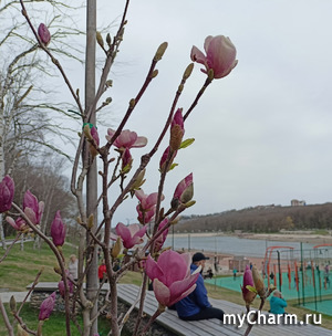 ���������� �������� - ����, �������, ����...