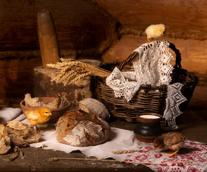 ���������������� ����� � ������