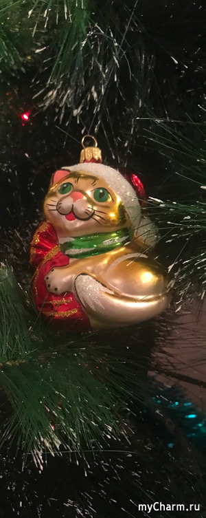 � ����� 2022 �����!!!