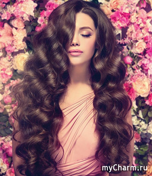 ������� ���������. �������� ������ - ����� �����)