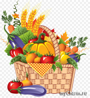 ������ ������� 2022�. ����� ������. �������������� �����