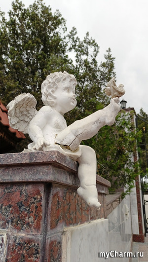 ����� ��������. ����� ����