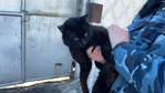 В Казани удалось поймать кошку-наркокурьера