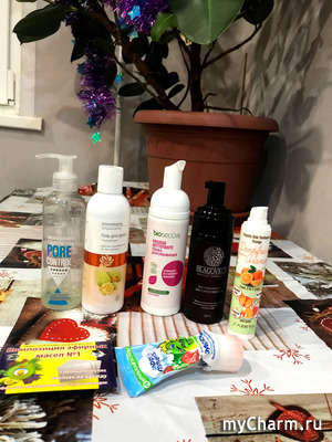 ��������, ������� �����������. ������� 2022