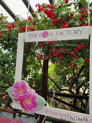Фестиваль роз.