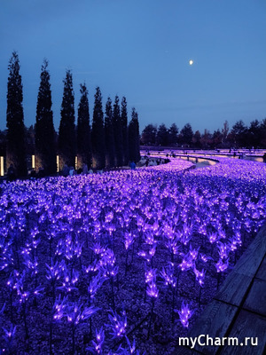 "� ����� ����� ������ ���� �������� ���������. ��� ����������� ���������, � �������. ���� �����������, ����������� � ������ �� ��������"