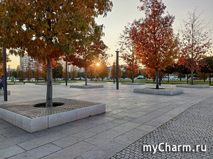 ���� ��������� ���������