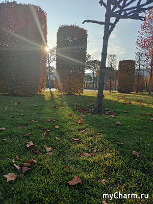 Поездка в Краснодар - День второй