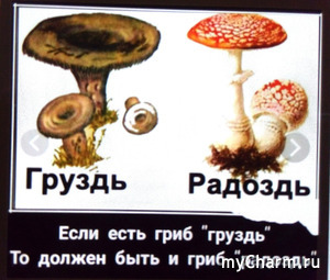 О мифическом явлении под названием грибы)