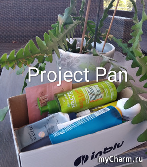 Project Pan ---     .