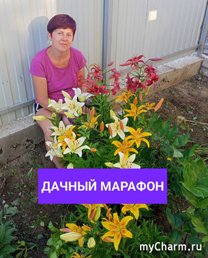 ������ �������-2023. toha336 ����� 9-10