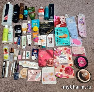 Nadsten91.    2023-2024))