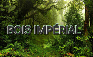 Добро пожаловать в Имперский лес.. или всё же экскурсия в каменные джунгли.BOIS IMPERIAL аромат-загадка.
